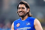 MS Dhoni Fans news, MS Dhoni Fans news, good news for ms dhoni fans, Ipl 2024