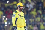 MS Dhoni latest breaking, MS Dhoni retire, ms dhoni advised to retire from ipl, Ipl 2024