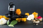 Maha Shivratri 2019: Visit These Lord Shiva Temples to Witness Best of the Maha Shivratri