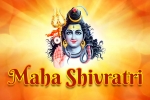 Maha Shivratri in BAPS Phoenix, Arizona Current Events, maha shivratri baps phoenix, Shiva puja