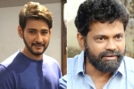 Mahesh Babu, Anil Ravipudi, mahesh babu shelves sukumar s project, 1 nenokkadine Mahesh Babu, Anil Ravipudi, mahesh babu shelves sukumar s project, 1 nenokkadine