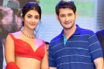 Pooja Hegde with Mahesh, Pooja Hegde next film, mahesh babu all set to romance pooja hegde again, Aravinda sametha veera raghava