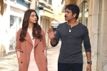 Nagarjuna movie review, Manmadhudu 2 Movie Tweets, manmadhudu 2 movie review rating story cast and crew, Avanthika Nagarjuna movie review, Manmadhudu 2 Movie Tweets, manmadhudu 2 movie review rating story cast and crew, Avanthika