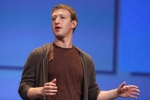 company, company, facebook investors want mark zuckerberg to resign, Midterm elections