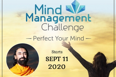 Mind Management Challenge - Perfect Your Mind