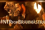 Brahmastra release date, Brahmastra release news, ntr turns chief guest for brahmastra event, Back pain