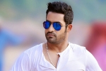 NTR updates, NTR, ntr s jai lava kusa updates, Nannaku prematho