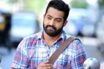 NTR news, Bobby, official ntr s next film locked, Sardar gabbar singh NTR news, Bobby, official ntr s next film locked, Sardar gabbar singh