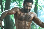 RRR updates, Ramaraju for Bheem latest updates, ramaraju for bheem ntr s deadly transformation as komaram bheem, Best actors