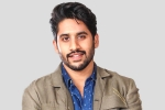 Naga Chaitanya news, Naga Chaitanya new film, interesting title for naga chaitanya s next, Majili