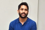Naga Chaitanya updates, Naga Chaitanya news, change of plans for naga chaitanya, Romantic comedy Naga Chaitanya updates, Naga Chaitanya news, change of plans for naga chaitanya, Romantic comedy