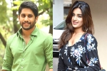 Naga Chaitanya updates, Niddhi Agerwal, chaitu to romance niddhi agerwal, Niddhi agerwal