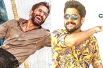 Naga Chaitanya news, Naga Chaitanya new films, naga chaitanya gearing up with two films, D day posters