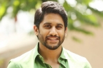 Naga Chaitanya news, Naga Chaitanya next movie, naga chaitanya signs his next, Merlapaka gandhi