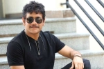 Nagarjuna and Akhil film, Nagarjuna next movie, nagarjuna s 100th film locked, Bangarraju