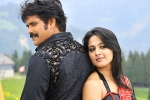 Nagarjuna next, Nagarjuna latest, nag and anushka to team up, Raju gari gadhi 2