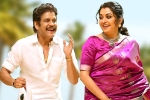 Bangarraju business, Bangarraju teaser, nagarjuna s bangarraju turns hot among sankranthi releases, Kalyaan dhev