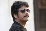 Nagarjuna news, Ranbir Kapoor, nag signs a bollywood flick, Devadasu Nagarjuna news, Ranbir Kapoor, nag signs a bollywood flick, Devadasu