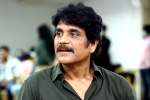 Nagarjuna periodic film, Nagarjuna breaking news, nagarjuna in a periodic drama, Mohan raja