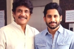 Nagarjuna, Nagarjuna sensational comments, nagarjuna s clarification on naga chaitanya s divorce, Nagarjuna akkineni