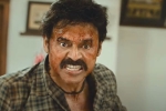 Narappa release news, Sreekanth Addala, venky s narappa trailer talk, Narappa