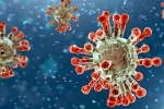 India coronavirus, China Covid Row, new china coronavirus variant traced in india, China covid 19