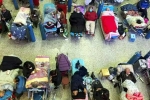China Medical Emergency, China Medical Emergency 2025, new outbreak of viruses in china, Coronavirus