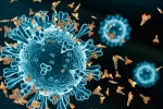 XEC Covid Variant new updates, XEC Covid Variant news, new xec covid variant detected in 27 countries, Great britain