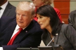 Haley, Trump about Nikki Haley, nikki haley going to make a lot of money says trump, Mattis