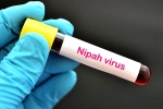 Nipah Virus symptoms, suspected Nipah Virus, nipah virus is back again two deaths registered, Nipah viru
