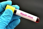 suspected Nipah Virus, Nipah Virus, nipah virus is back again two deaths registered, Veena