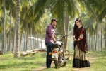 Katamrayudu news, Pawan Kalyan, no audio launch for katamrayudu, Katamrayudu Katamrayudu news, Pawan Kalyan, no audio launch for katamrayudu, Katamrayudu