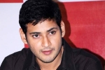Rakul Preet Singh, Mahesh Babu new movie, no clarity on mahesh s next title, Sambhavami