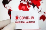 Omicron, Omicron USA articles, omicron is no worse than other variants says us scientists, Anthony fauci