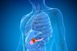 Pancreatic Cancer advise, Pancreatic Cancer symptoms, how to protect yourself from pancreatic cancer, Hbo