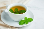 Peppermint Tea news, Peppermint Tea news, what happens when you drink peppermint tea every night, Ibs