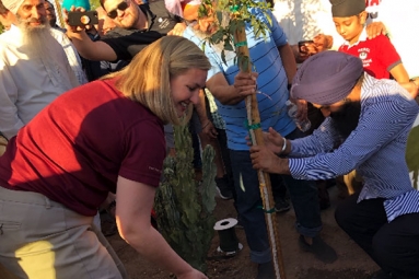 Sikh Community Donate 550 Trees To The Pheonix Neighborhoods In Arizona