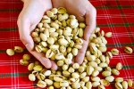 Pistachios updates, Pistachios rich in proteins, pistachios are a perfect protein snack, Ios 18 1