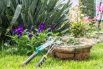 Plants that attract Snakes news, Plants that attract Snakes news, five plants that attract snakes at home, Dev patel