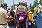 labourers, covid-19, plight of migrant workers baby shakes to wake up deceased mother, Todd