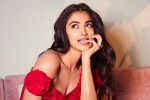 Pooja Hegde new movie, Pooja Hegde upcoming movies, pooja hegde in talks for a biggie, Siddharth roy kapur