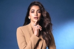 Pooja Hegde next movies, Pooja Hegde remuneration, pooja hegde lines up bollywood films, Pooja hegde