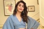 Pooja Hegde, Pooja Hegde, pooja hegde in pink remake, Pink remake