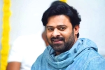 Prabhas latest updates, Prabhas next movie, prabhas jaan delayed further, Weightloss