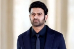 Prabhas pan Indian film, Prabhas upcoming movie, new updates of prabhas and maruthi film, A maruthi film