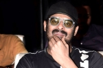 Prabhas and Maruthi Film release date, Prabhas, prabhas next film launched, A maruthi film