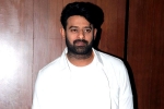 People Media Factory, Malavika Mohanan, two beauties locked to romance prabhas, Niddhi agerwal