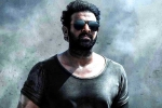 Prabhas updates, Prithviraj Sukumaran Telugu film, prabhas salaar to have malayalam star, Shruthi haasan Prabhas updates, Prithviraj Sukumaran Telugu film, prabhas salaar to have malayalam star, Shruthi haasan