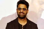 Vintage King, Prabhas Vintage King latest, interesting title for prabhas next, Maruthi