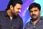 Prabhas and Maruthi film release news, Maruthi, new title for prabhas and maruthi film, Nidhhi agerwal